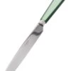 Sabre Natura Tafelmes 24 Cm Rvs Kunststof Groen -Barbenodigdheden Winkel 3682 1790197 1