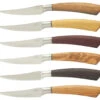 Saladini Steakmes 10 Cm Verschillende Houtsoorten 6 Stuks -Barbenodigdheden Winkel 6755 52067 1