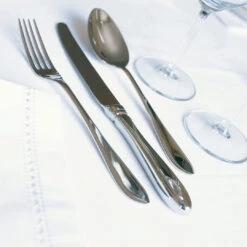 Keltum Puntfilet Bestekcassette 6-persoons Rvs 24-delig -Barbenodigdheden Winkel puntfilet03 ce 1