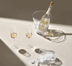 Nude Stem Zero Champagneglas 300 Ml -Barbenodigdheden Winkel zero champagne 3